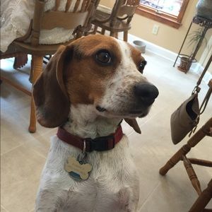 Meet your Posher, Thomas